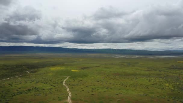 Exuberantes Llanuras Verdes Con Nublado Cielo Durante Día Antena — Vídeos de Stock