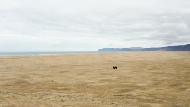 Travelers Walking Vast Sand Dunes Landscape Beach Iceland Aerial — Stock Video