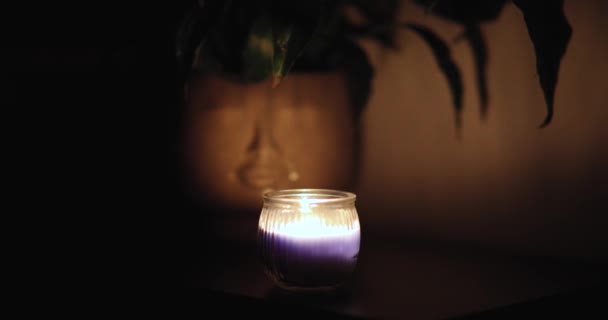 Освещение Ароматной Свечи Ночью Зажигалкой Close — стоковое видео