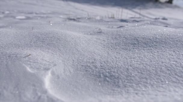 新雪の中でのハイキングブーツの閉鎖冬のハイカーウォーキングスローモーション — ストック動画