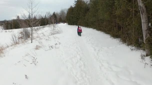 Dron Pohled Dvou Malých Dětí Pěší Túry Sněhem — Stock video