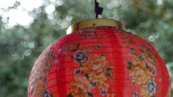Nahaufnahme Einer Chinesischen Laterne Mit Baum Hintergrund — Stockvideo