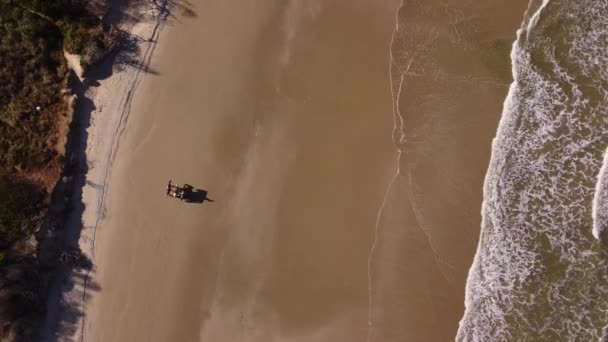 夏の太陽の下で海のそばの砂浜で乗馬馬のグループを示す空中トップダウン上昇 — ストック動画