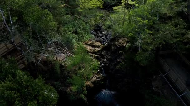 木々の中に隠されたラグーンを明らかにする空中ビュー ドローンショット — ストック動画