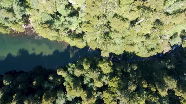Vista Superior Del Lago Chico Parque Nacional Huerquehue Rodeado Por — Vídeo de stock