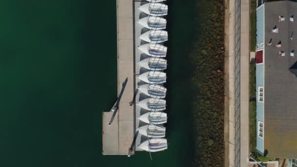 Vue Aérienne Haut Vers Bas Petits Voiliers Attachés Quai — Video