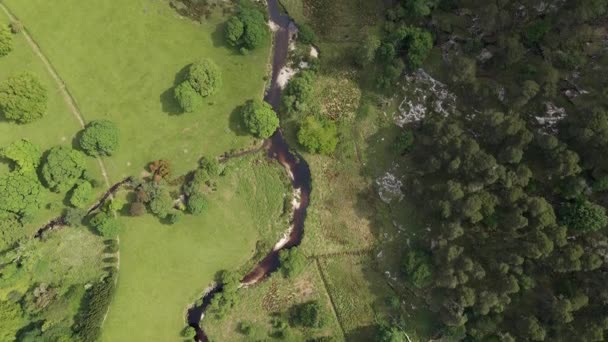 Drone Disparo Río Que Fluye Través Campos Verdes Bosque — Vídeos de Stock