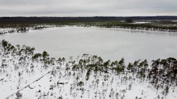 2011年冬季 一架无人驾驶飞机接近爱沙尼亚南部弗鲁马Luhasoo Raba的一个湖泊 — 图库视频影像