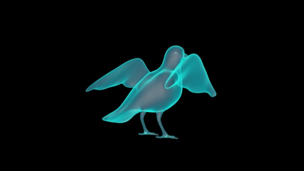 Eine Wunderschöne Darstellung Des Holographen Der Taube — Stockvideo