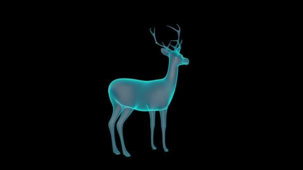 美しい3D鹿ホログラフターンテーブルレンダリング — ストック動画