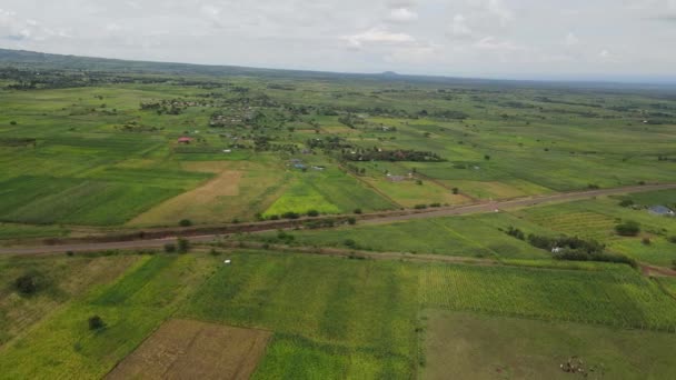 Ültetvények Között Vidéki Terület Közelében Loitokitok Kenya Légi Kilátás — Stock videók