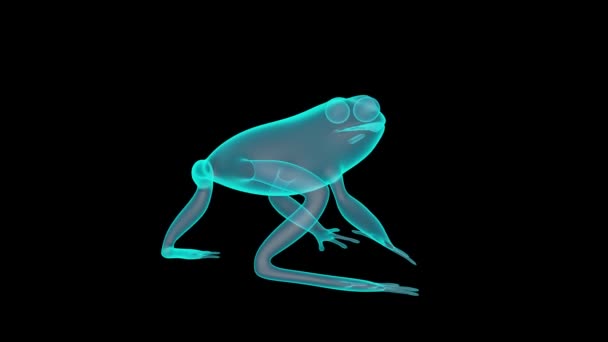 Ein Schöner Holograph Renderer Für Den Frosch — Stockvideo