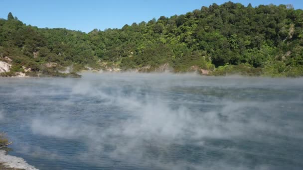 新西兰罗托鲁阿威曼谷地热湖上的蒸汽 — 图库视频影像