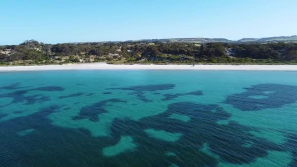 Kristallklart Blått Vatten Emu Bay Kangaroo Islands Norra Kust Södra — Stockvideo