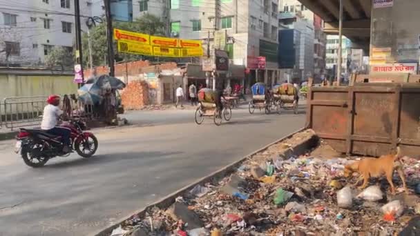 Araçları Sokak Köpeği Olan Bir Şehirde Yol Kenarı Çöplüğü Sağa — Stok video