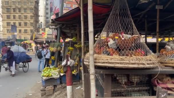 Dhaka Daki Market Stall Asılı Duran Taze Tavukların Sırası Sağa — Stok video