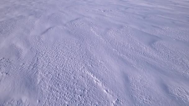 Langsamer Flug Über Gefrorenen Tundra Schnee — Stockvideo