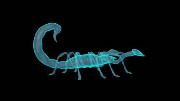 Vacker Scorpion Holograph Skivspelare Render — Stockvideo