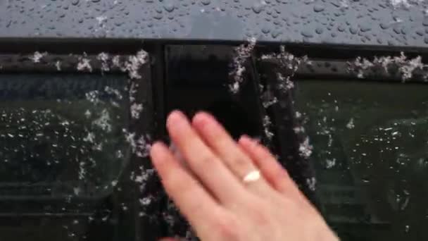 Rensa Snö Frost För Att Komma Förarsätet Pov — Stockvideo