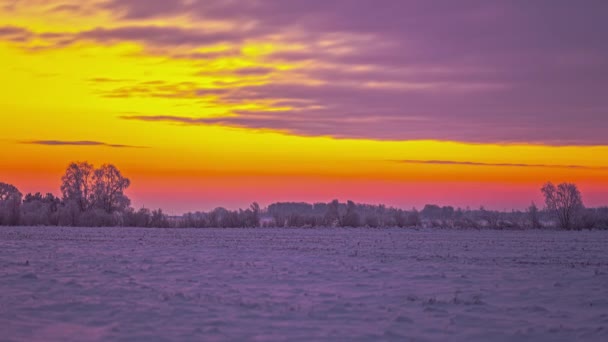 Umělecký Záběr Zimních Polí Pokrytých Sněhem Děsivě Oranžovou Fialovou Oblohou — Stock video