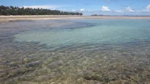 Statische Ansicht Des Flachen Sauberen Meerwassers Bei Ebbe Mit Blick — Stockvideo