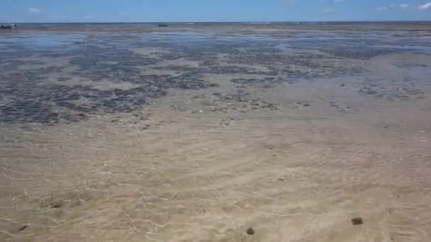 干潮時の浅い海床の上の静的なビュー 晴れた日には海の水が流れ込み — ストック動画