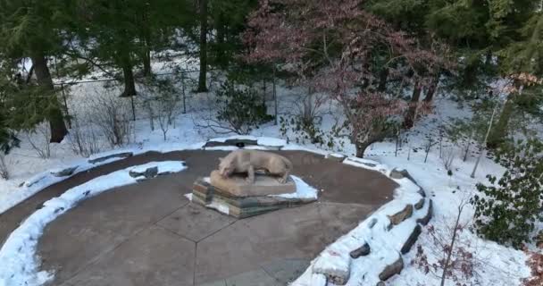 Nittany Lion Tapınağı Penn State Üniversitesi Psu Kampüsünün Maskotu Kış — Stok video