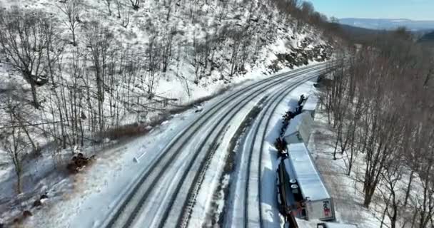 Kereta Tergelincir Dalam Musim Dingin Dan Badai Salju Fedex Trailer — Stok Video