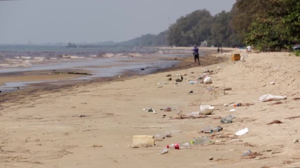 Plastic Fles Vuilnis Aangespoeld Mae Ram Phueng Beach Rayong Thailand — Stockvideo