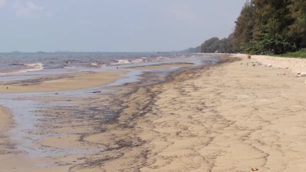 Ausnahmezustand Rayong Thailand Wegen Ölpest Ausgerufen Mae Ram Phueng Strand — Stockvideo
