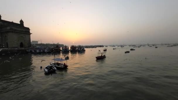 Много Голубей Морских Птиц Летающих Шлюзах Индии Над Лодками — стоковое видео