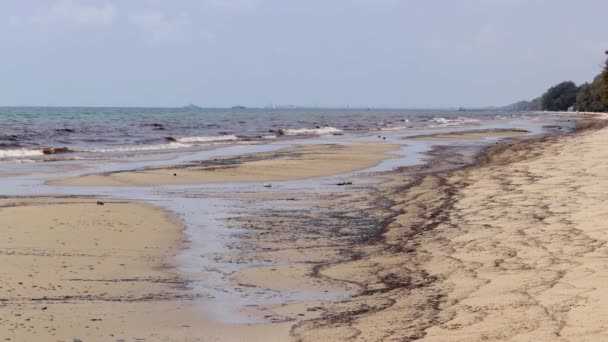 Oil Spill Mae Ram Phueng Beach Leaked Underwater Pipeline Rayong — Stock Video