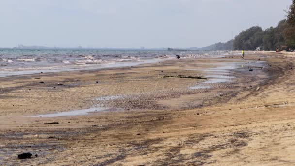 Oil Spill Crude Oil Leaked Underwater Pipeline Washed Ashore Mae — Stock Video