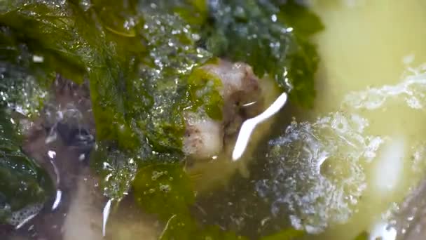 Εκχυλίσματα Κρεατελαίου Ενώ Βράζουν Σπανάκι Σούπα Λαχανικών — Αρχείο Βίντεο