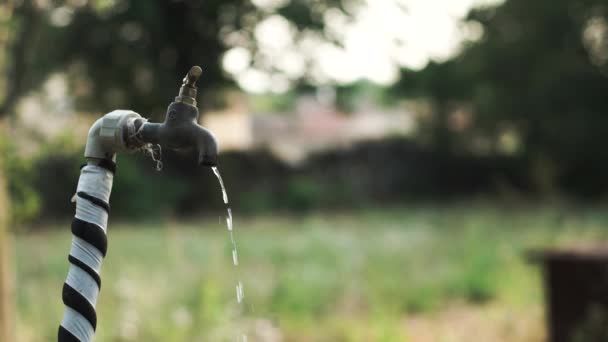 Buitenkraan Water Druipt Het Platteland Veld Uitgeschakeld Door Een Vrouw — Stockvideo