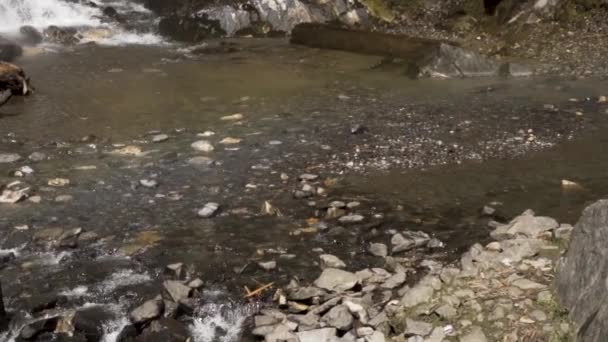 Jogini Enorme Bonito Cai Com Arco Íris Manali Himachal Pradesh — Vídeo de Stock