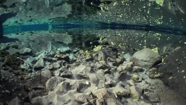 Vista Subacquea Della Sorgente Acqua Dolce Con Rocce Sul Fondo — Video Stock