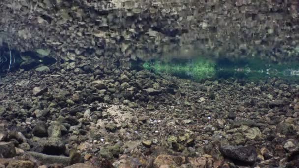 Vista Submarina Del Manantial Agua Dulce Con Monedas Parte Inferior — Vídeo de stock