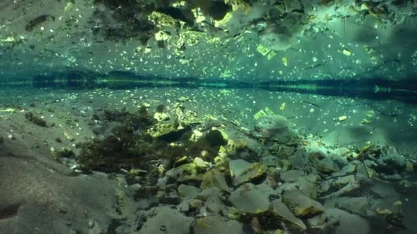 Onderwaterzicht Zoetwaterbron Met Rotsen Bodem — Stockvideo