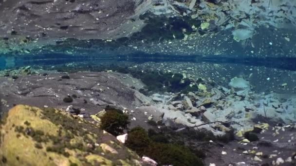 Uitzicht Zoetwaterbron Met Rotsen Bodem Panoramisch Uitzicht — Stockvideo