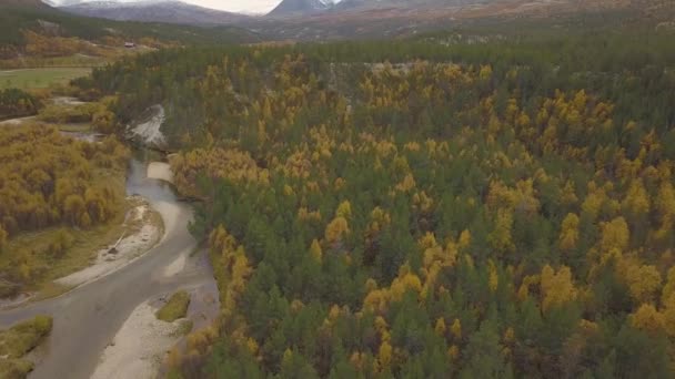 Outono Floresta Colorida Grandes Montanhas Fundo Com Neve Topo Tiro — Vídeo de Stock