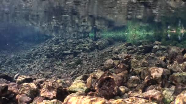 Unterwasser Sonniger Blick Auf Den Süßwasserbach Mit Felsigem Boden — Stockvideo