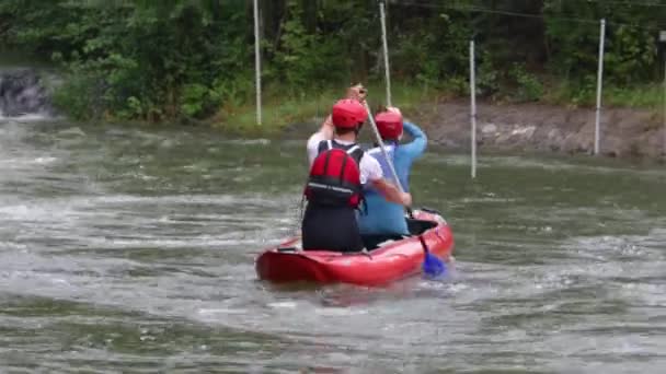 Duas Pessoas Sentam Canoa Remam Rio Abaixo — Vídeo de Stock
