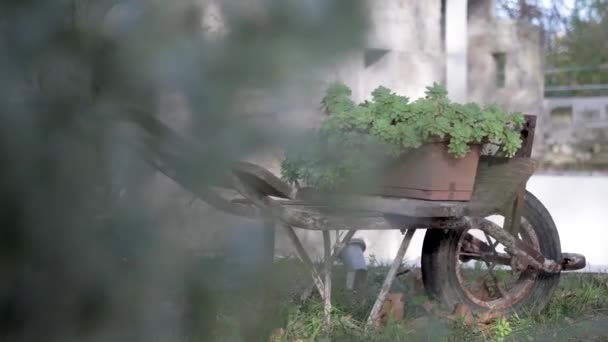 フランスの田舎の南に鉢植えの植物とウィールバロー ドリーライトはショットを明らかにします — ストック動画