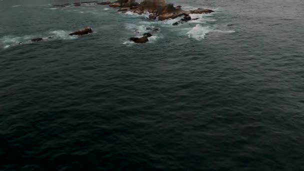 Aerial Drone Shot Rock Formating Waves Crashing Pacific Coast View — Stock Video