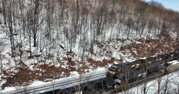 Lokomotywy Norfolk Southern Przejeżdżają Torach Kolejowych Zimowym Śniegu Temat Logistyczny — Wideo stockowe