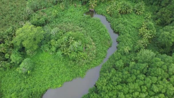 緑の雨林 クジラの尾の砂形成とコスタリカのマリノ バレナ国立公園でターコイズブルーの海の空中ドリー — ストック動画