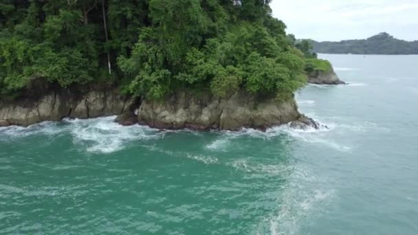 Aerial Truck Left Turquoise Sea Rocky Shore Covered Dense Green — Stock Video