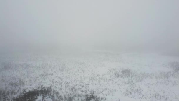 Estonya Kış Sabahı Meenikunno Bataklığı Üzerinde Yoğun Sis Bulutlar Arasında — Stok video