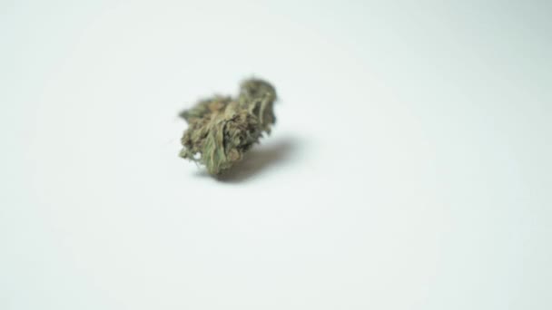 Hromádky Marihuany Kapky Bílý Stůl — Stock video